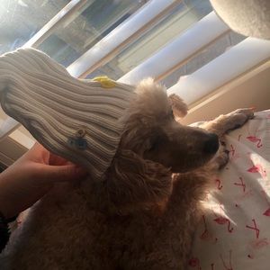 Meet your Posher, Sophie